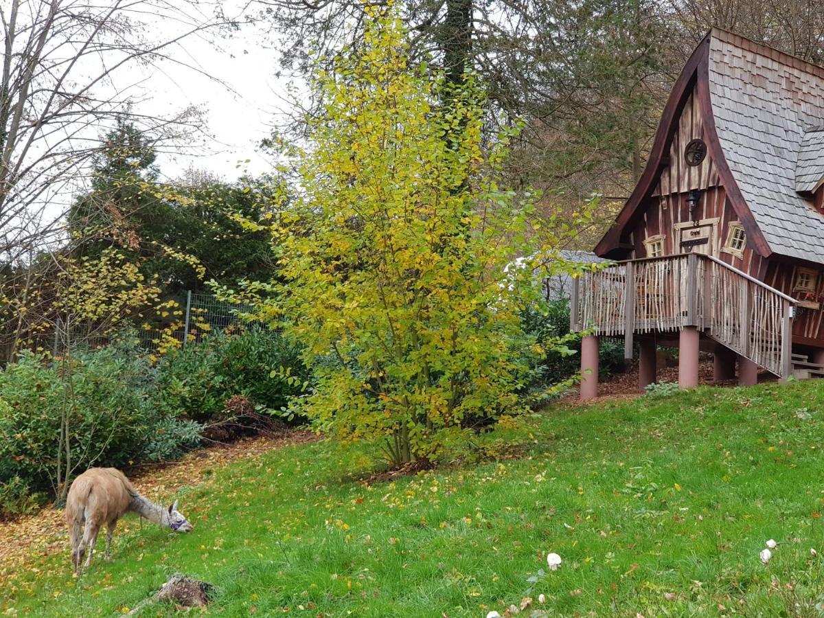 Hexenhaeuschen Am Waldrand Villa Annweiler am Trifels Bagian luar foto